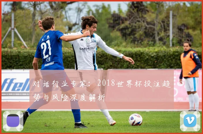 对话行业专家：2018世界杯投注趋势与风险深度解析