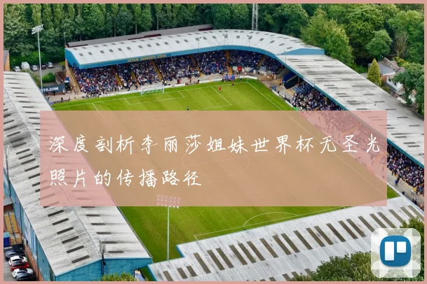 深度剖析李丽莎姐妹世界杯无圣光照片的传播路径