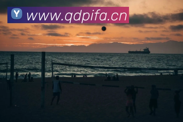 App Interface Preview